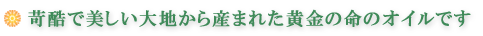 ?????????大???????????????????????